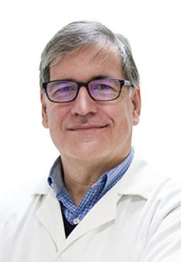 Adolfo Garcia-Ocana, Ph.D., Chair, Department of Molecular & Cellular Endocrinology, City of Hope